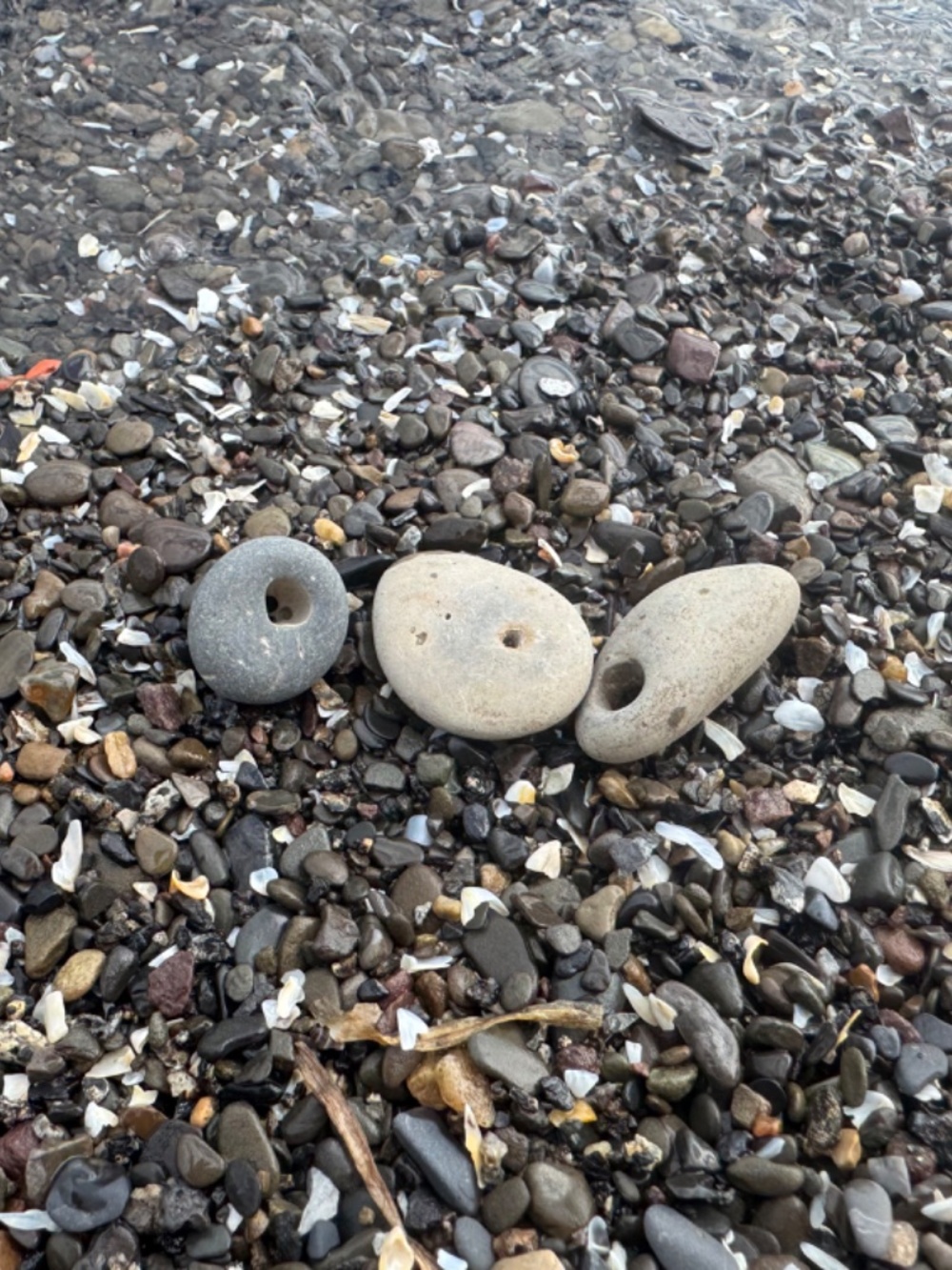 3 Holey Beach Rocks Hag Adder Stone Fairy  Natural Lucky Shore of Cayuga Lake NY